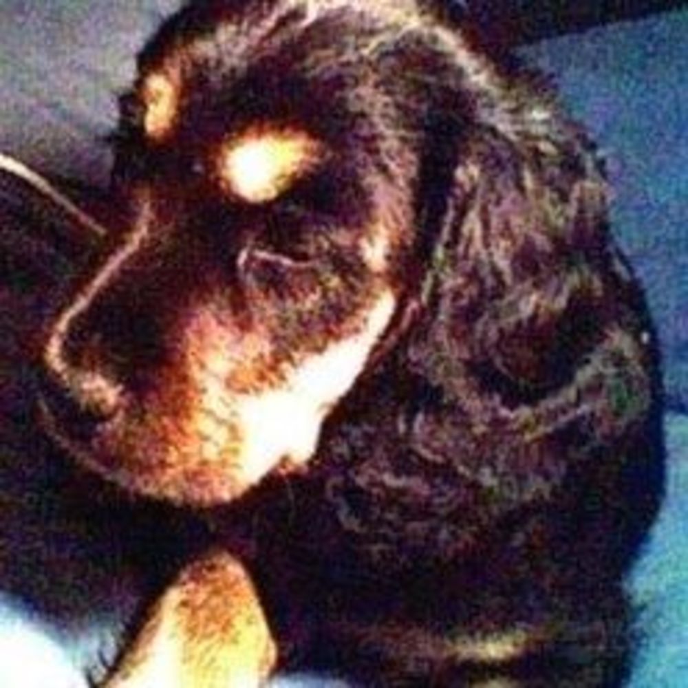 Meet your Posher, Heather rose